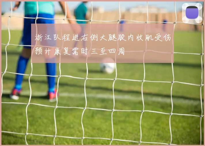 浙江队程进右侧大腿股内收肌受伤预计康复需时三至四周